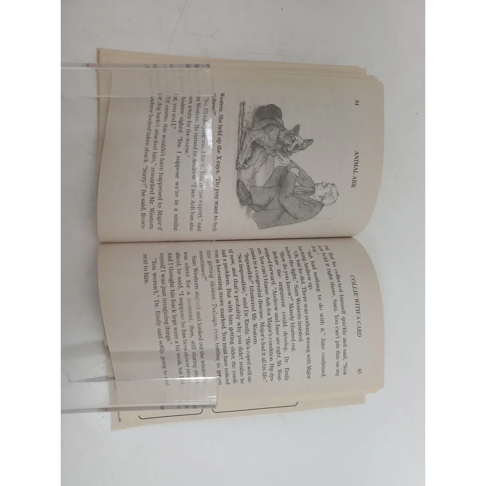Collie with a Card (Animal Ark Holiday Treasury #6-Valentine's Day) (Animal Ark